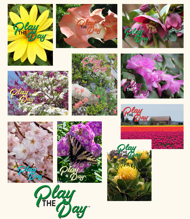 Play the Day™ Notecard Sets
