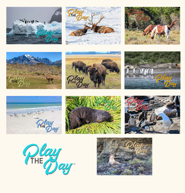 Play the Day™ Notecard Sets