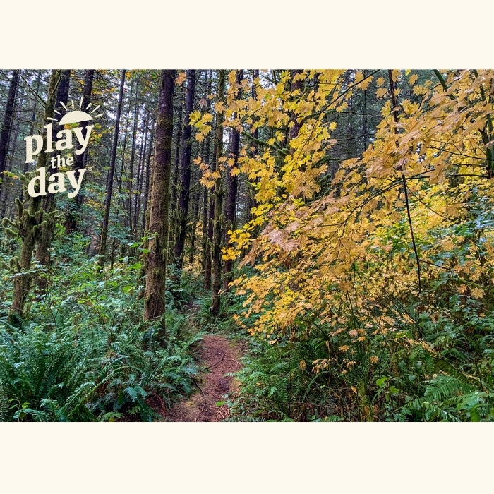 Fall Photography Notecards | Set of 10