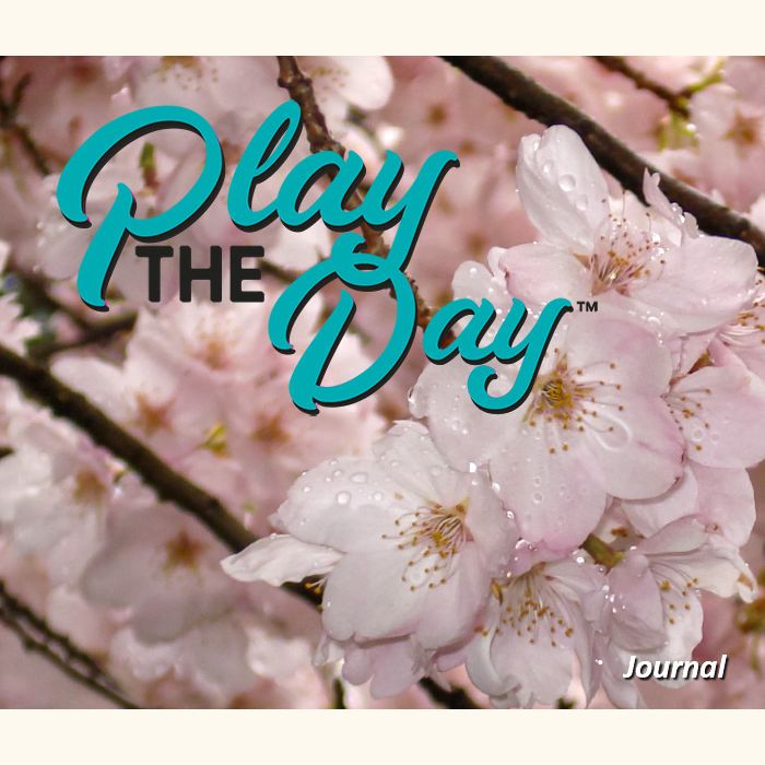 Play the Day™ Journals (7" x 6")
