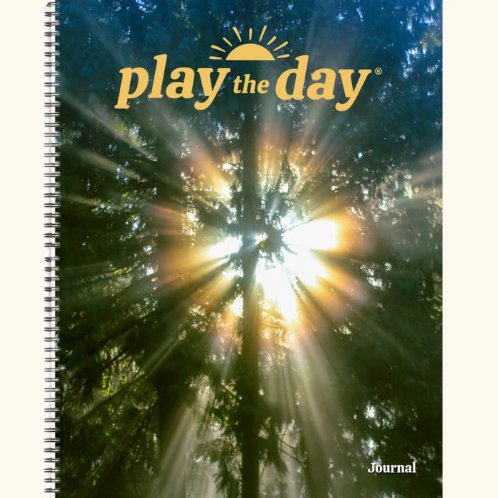 8.5 x 11 Play the Day® recycled paper journal cover showing golden sunlight streaming through cedar trees