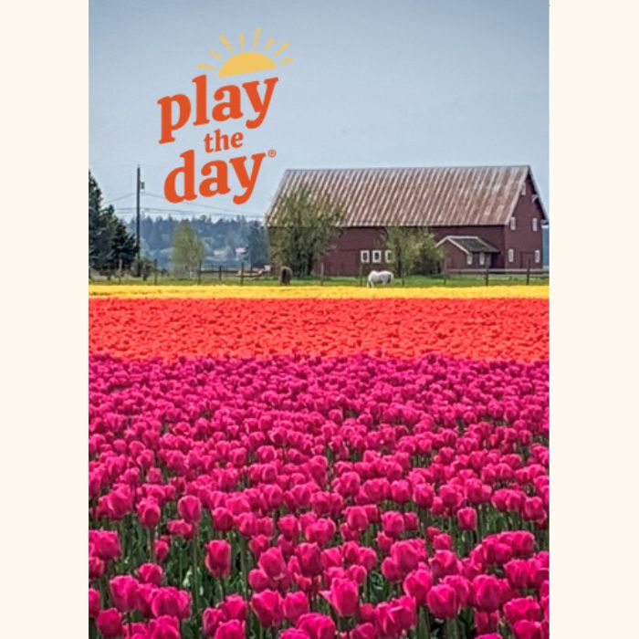 Play the Day® notecard featuring colorful tulip fields in the Skagit Valley with a red barn in the background