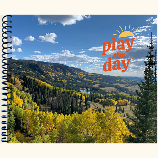 Calendar book cover with a scenic view of mountains and trees, featuring 'play the day' logo.