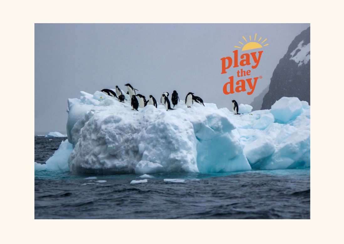 Winter-Themed Nature Photography Notecards | Set of 10