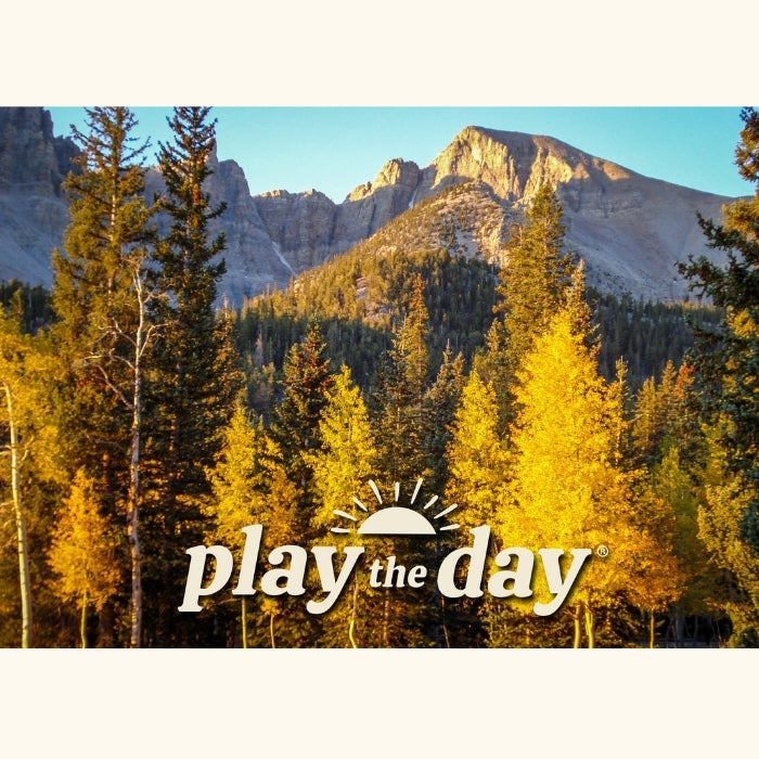 Fall Photography Notecards | Set of 10