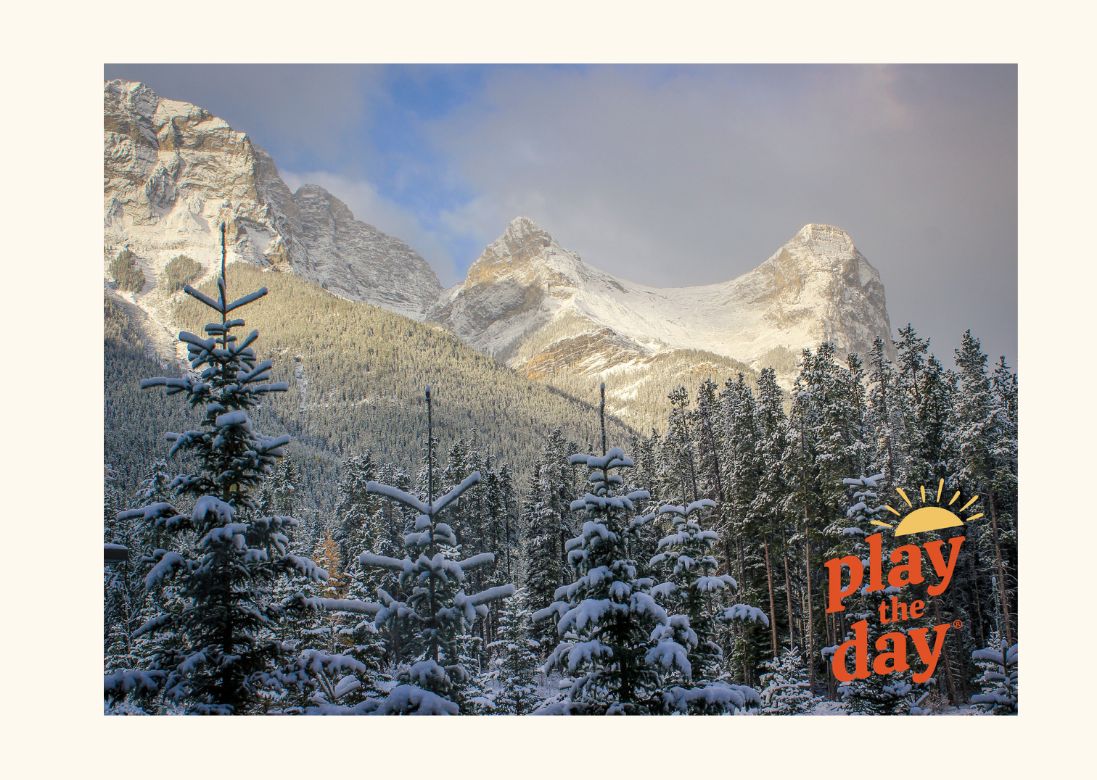 Winter-Themed Nature Photography Notecards | Set of 10