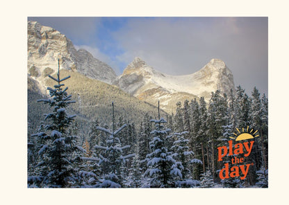 Winter-Themed Nature Photography Notecards | Set of 10