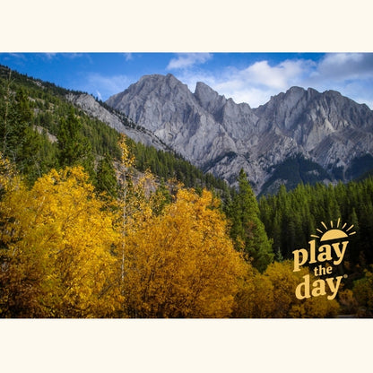 Fall Photography Notecards | Set of 10