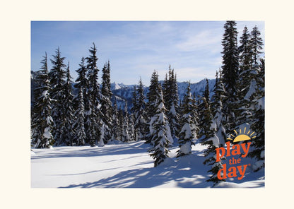 Winter-Themed Nature Photography Notecards | Set of 10