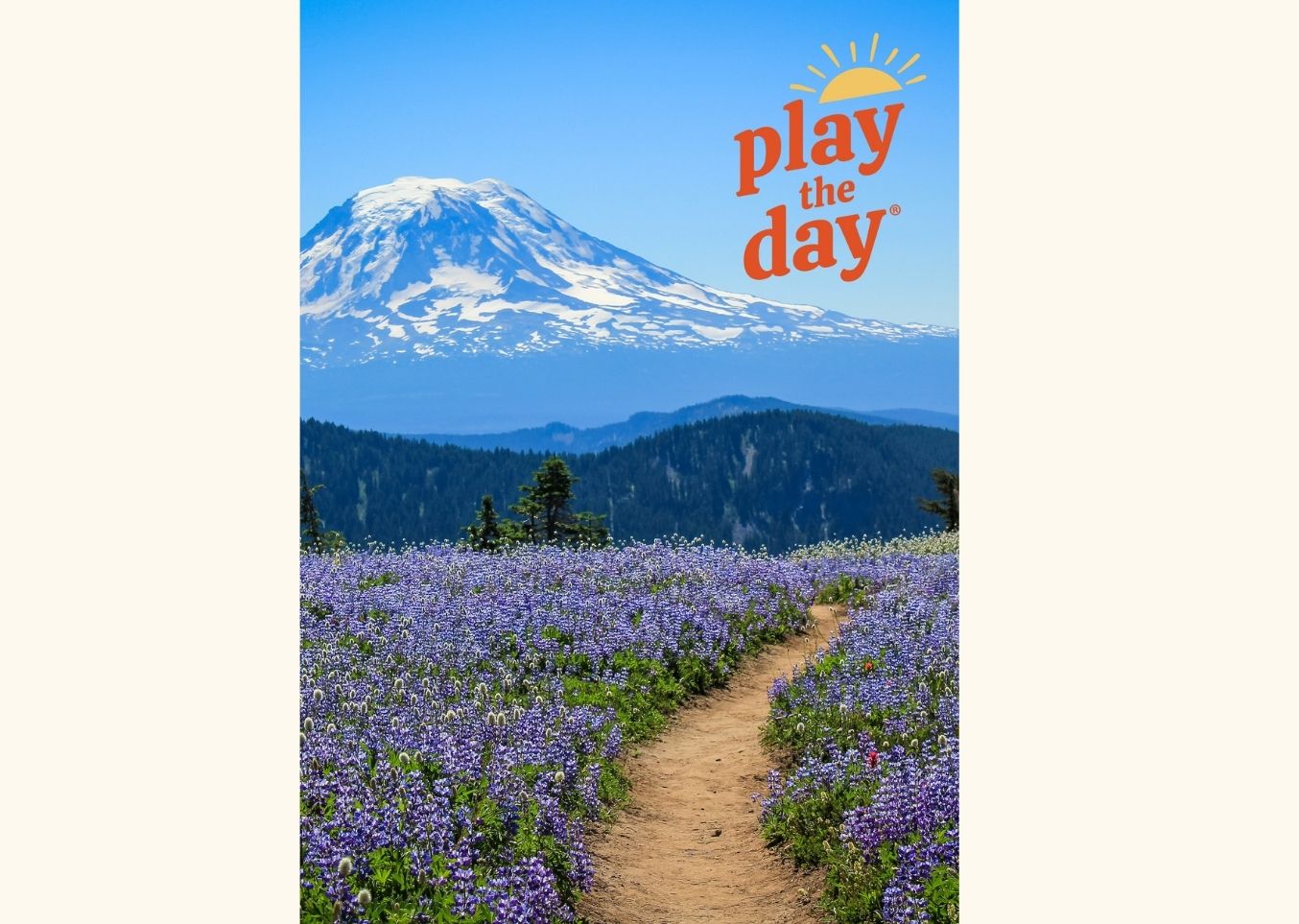 Summer Photography Notecards | Set of 10