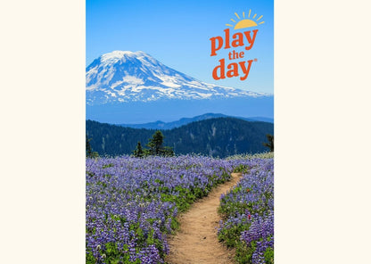Summer Photography Notecards | Set of 10