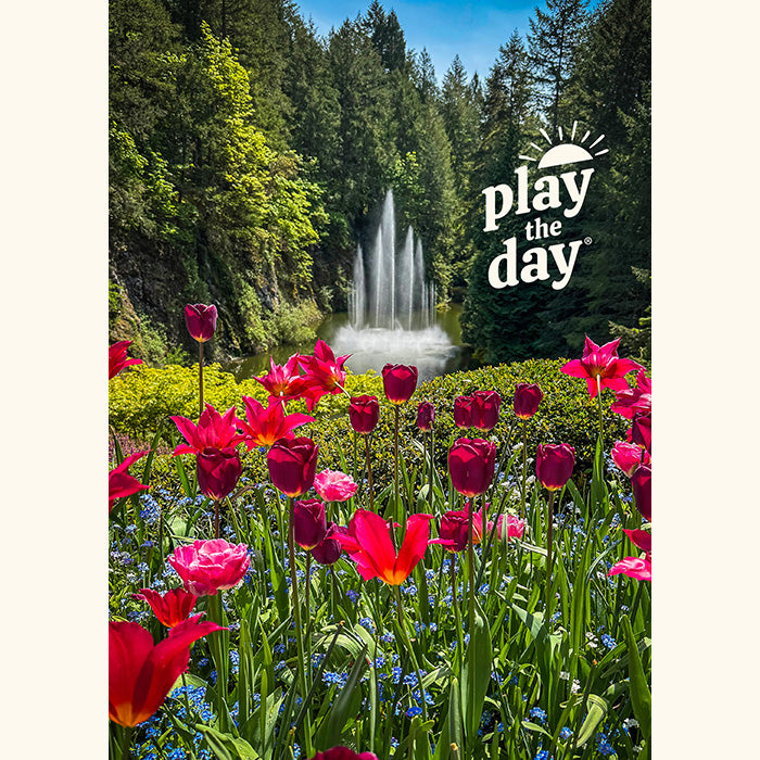 Flower Photography Notecards | Set of 10