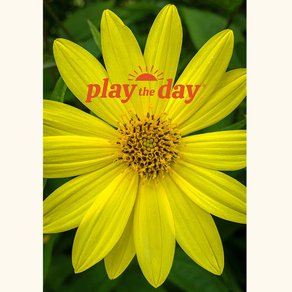 Yellow flower with 'play the day' logo in the center