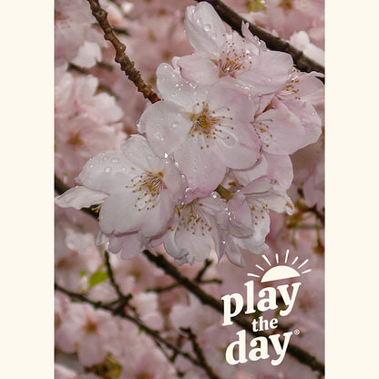 Flower Photography Notecards | Set of 10