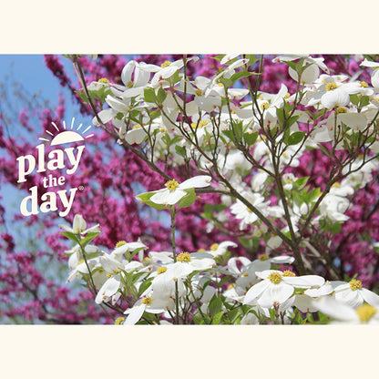 Flower Photography Notecards | Set of 10