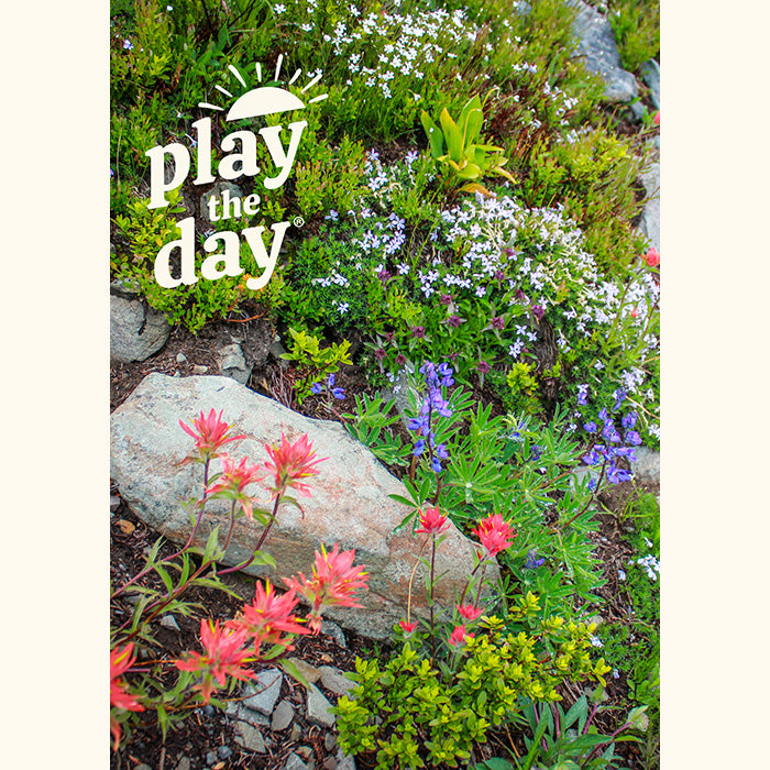 Flower Photography Notecards | Set of 10