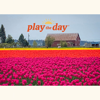 Flower Photography Notecards | Set of 10