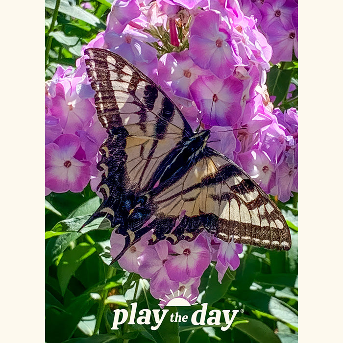 Flower Photography Notecards | Set of 10