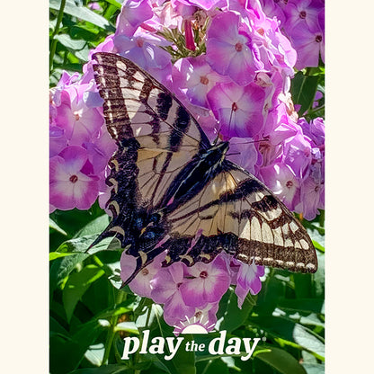 Flower Photography Notecards | Set of 10