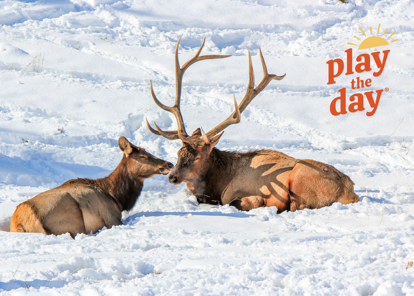 Winter Photography Notecards | Set of 10