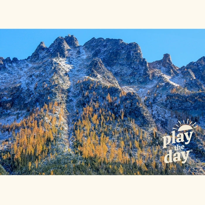 Fall Photography Notecards | Set of 10