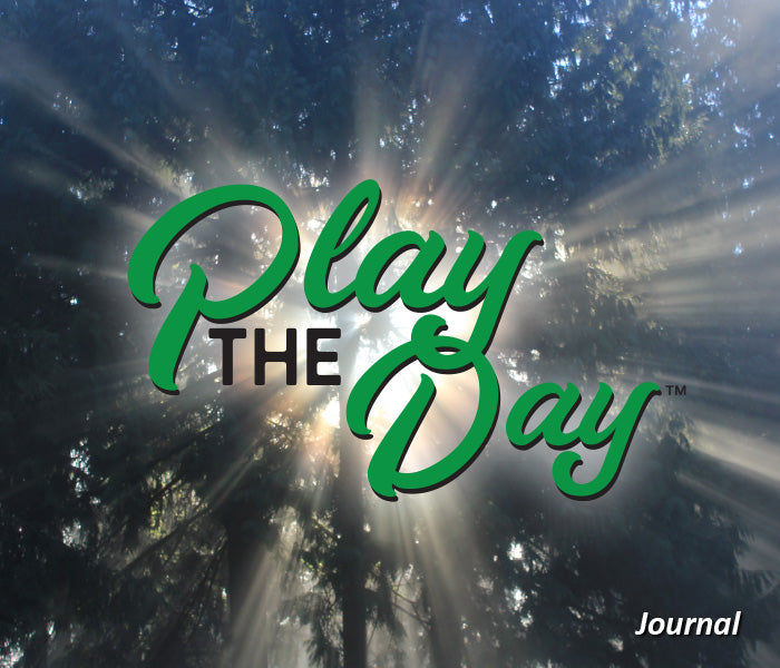 Play the Day™ Journals (7" x 6")
