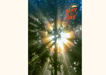 Winter-Themed Nature Photography Notecards | Set of 10