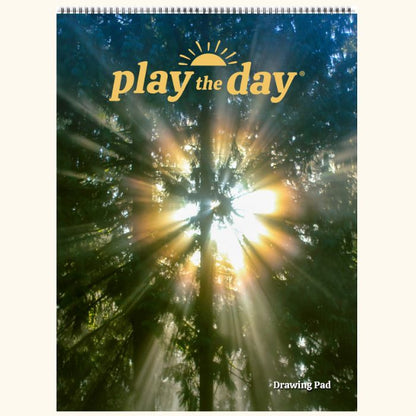 9 x 12 Play the Day® art pad cover with golden sunlight streaming through cedar trees in a forest canopy
