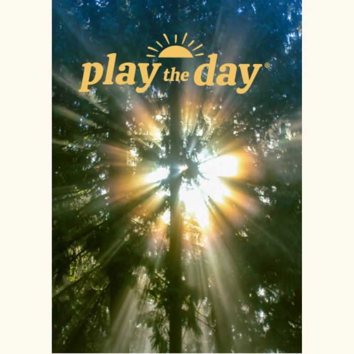Play the Day® notecard showing golden sunlight streaming through cedar trees in a forest
